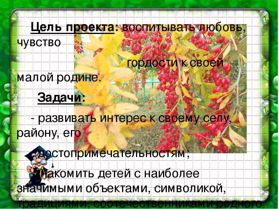 Презентация информационно-исследовательского проекта для старших дошкольников "улицы моего села"