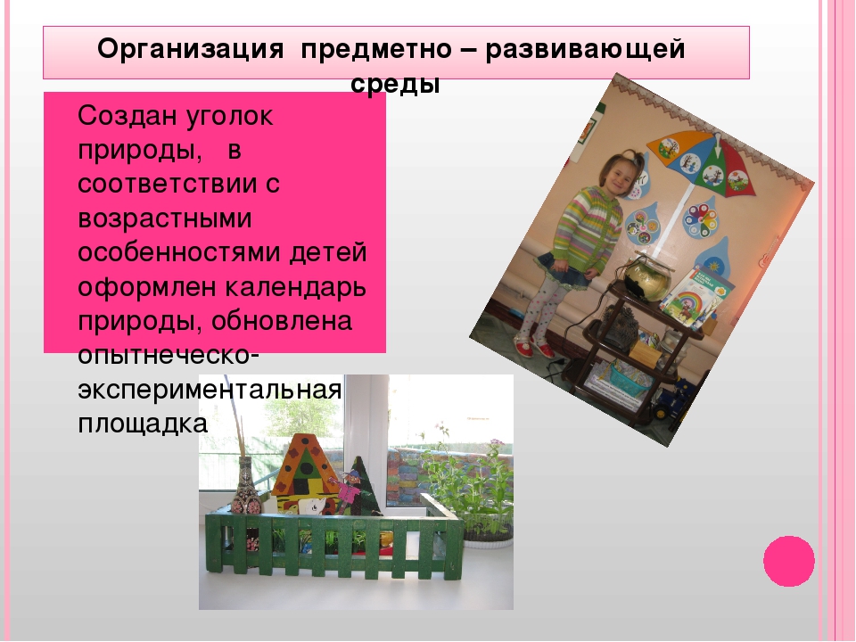 " Сопровождение детей с ОВЗ"