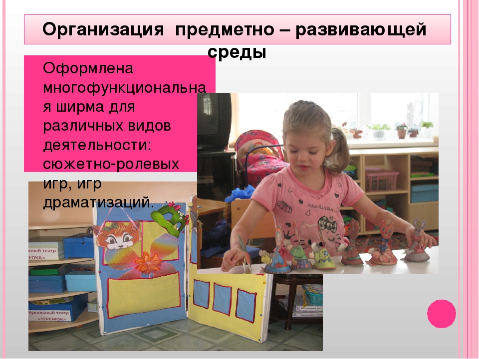 " Сопровождение детей с ОВЗ"
