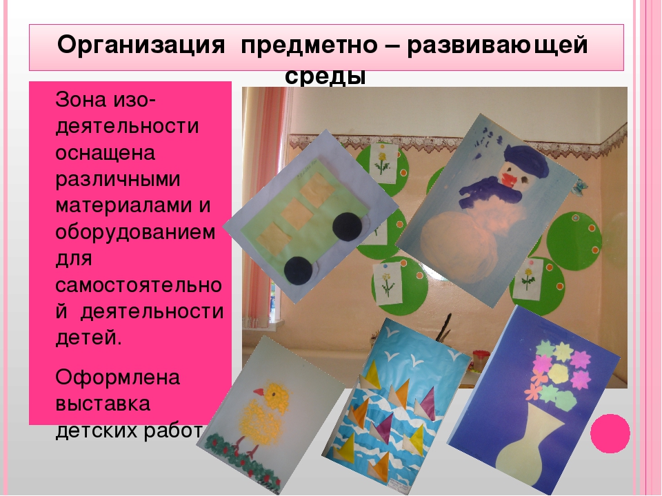 " Сопровождение детей с ОВЗ"
