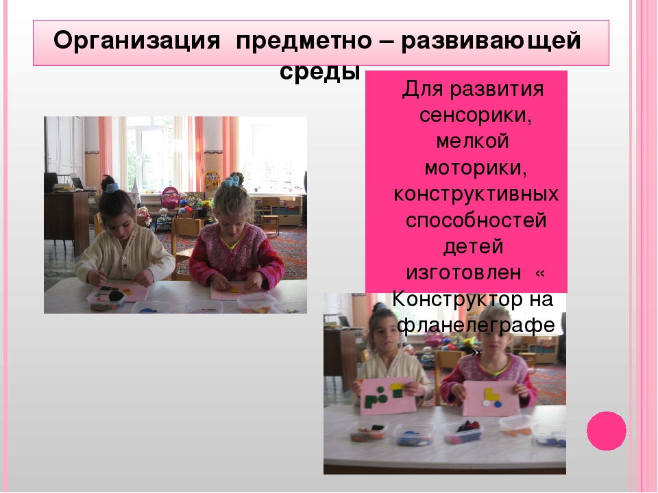 " Сопровождение детей с ОВЗ"