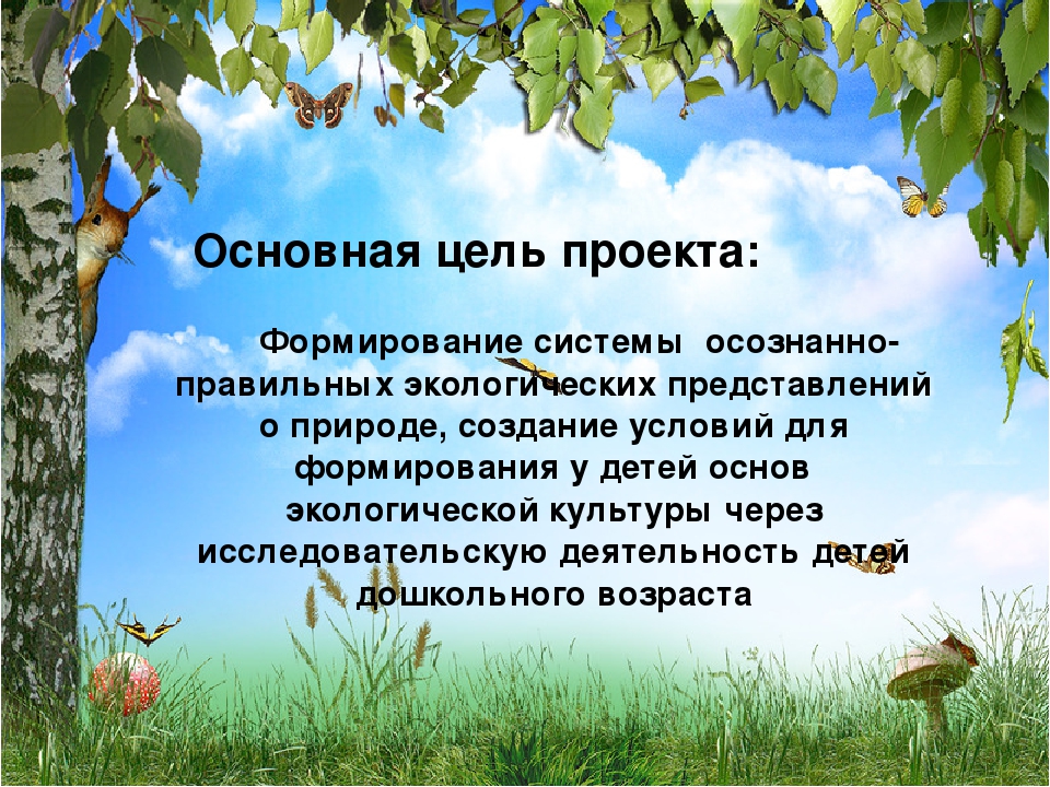 Презентация на тему: "Экологическое воспитание дошкольников"