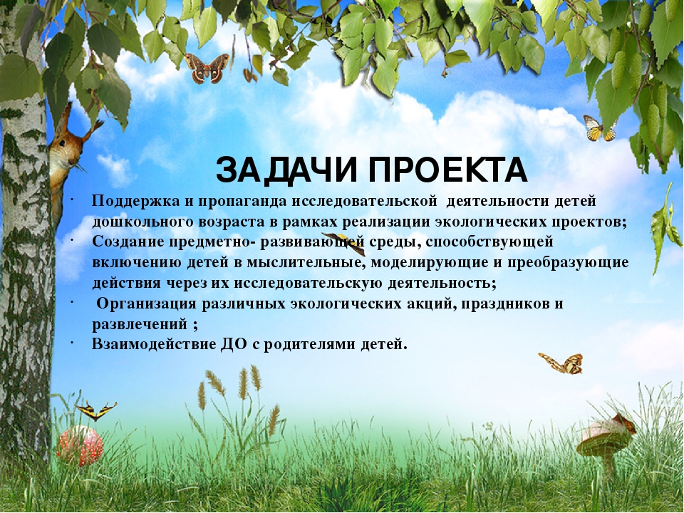 Презентация на тему: "Экологическое воспитание дошкольников"