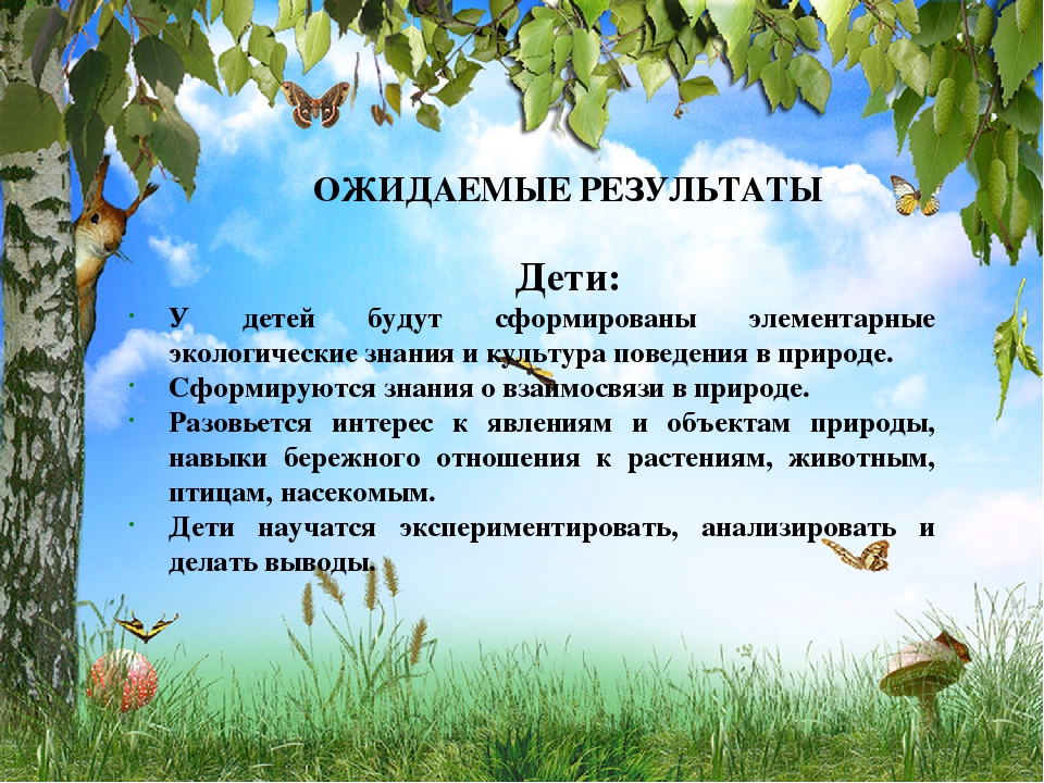 Презентация на тему: "Экологическое воспитание дошкольников"