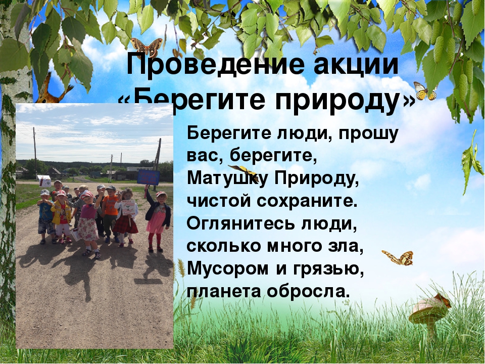 Презентация на тему: "Экологическое воспитание дошкольников"