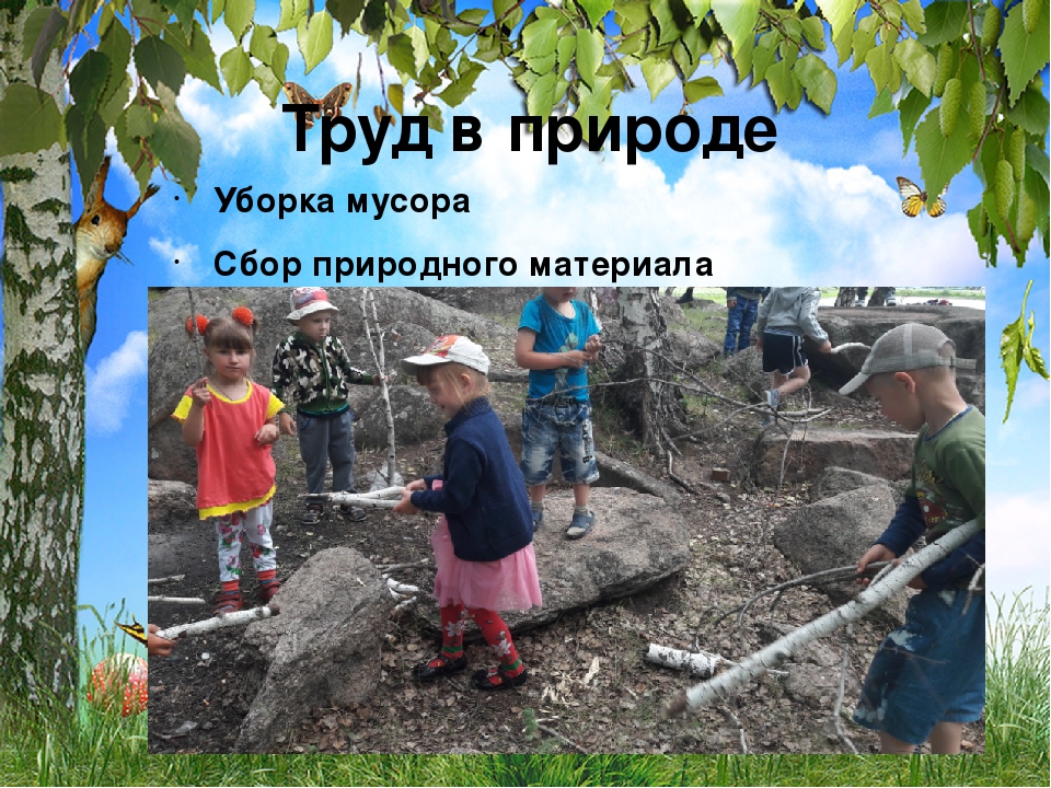 Презентация на тему: "Экологическое воспитание дошкольников"
