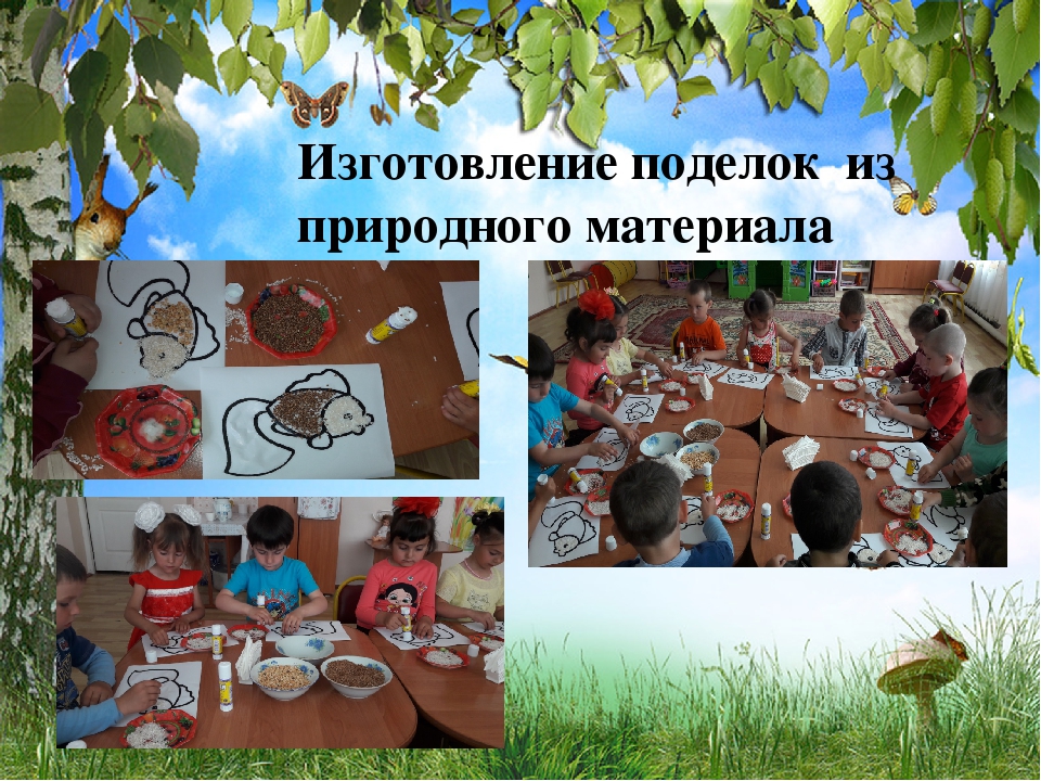 Презентация на тему: "Экологическое воспитание дошкольников"