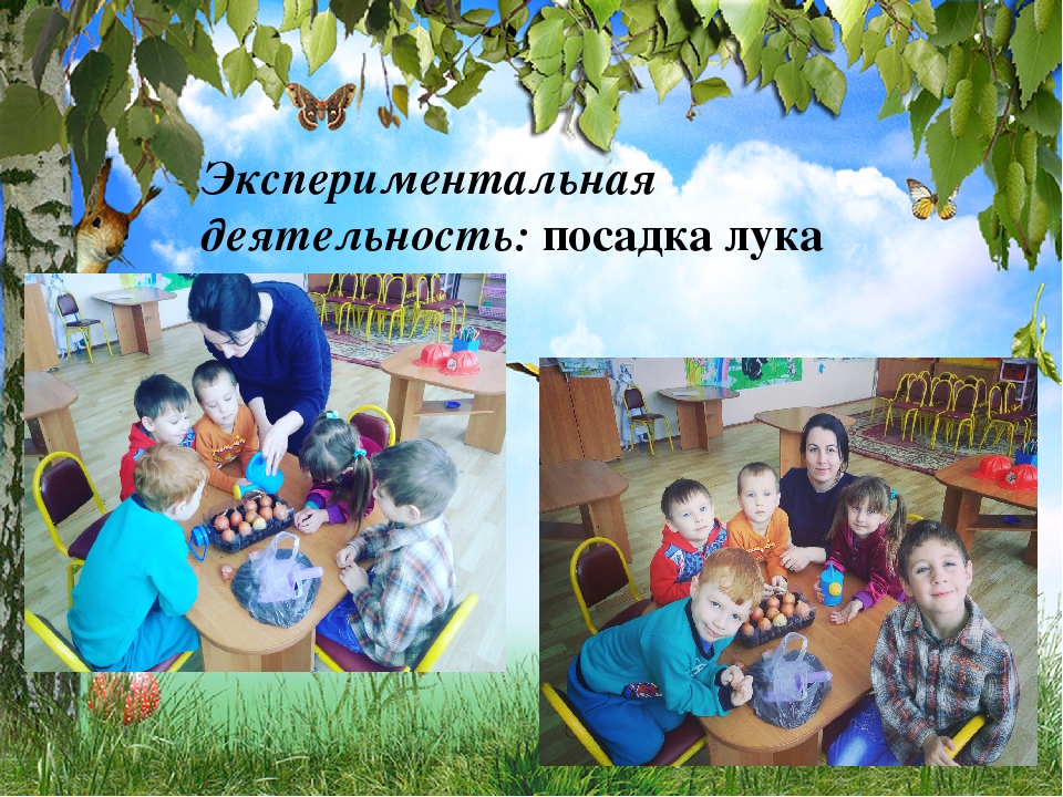 Презентация на тему: "Экологическое воспитание дошкольников"