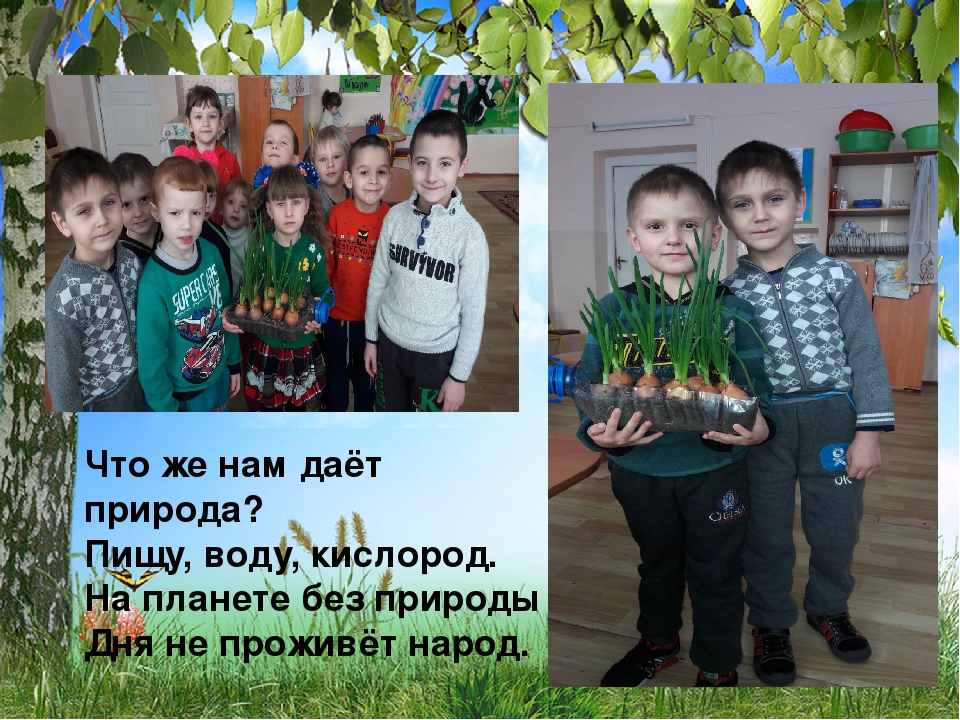 Презентация на тему: "Экологическое воспитание дошкольников"