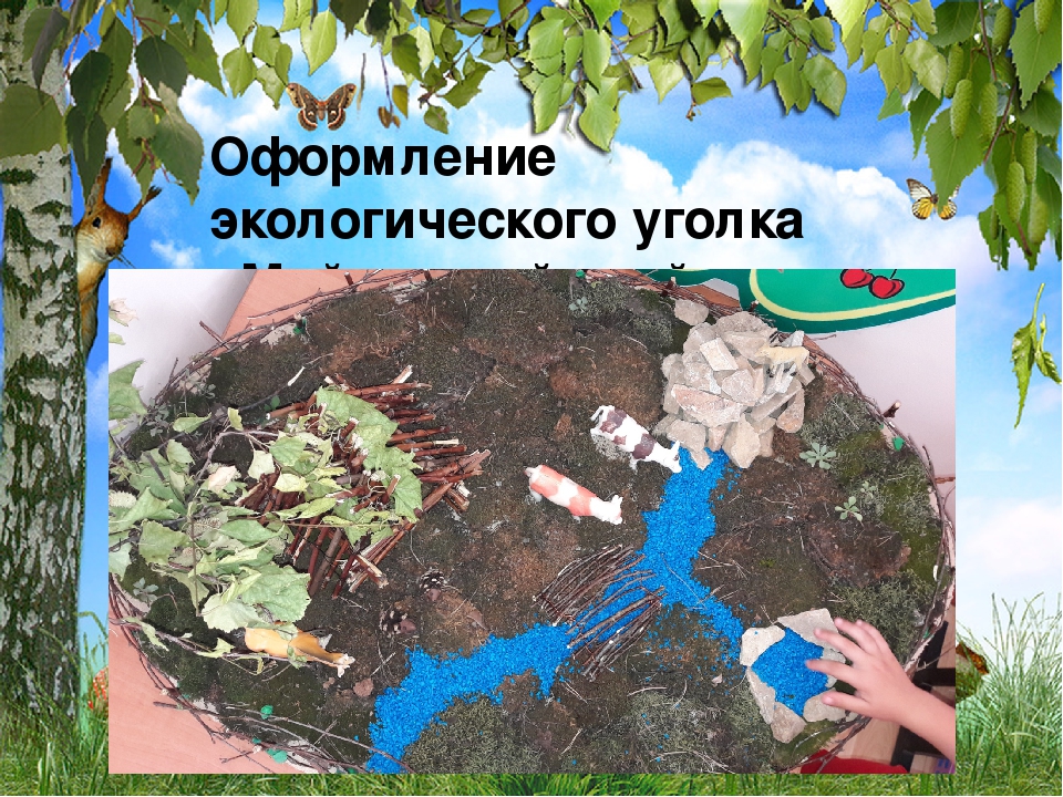 Презентация на тему: "Экологическое воспитание дошкольников"