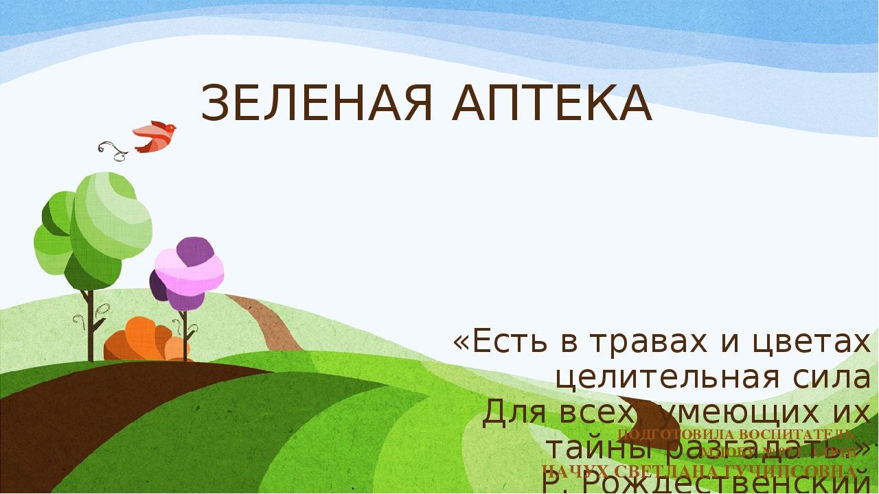 Презентация проекта "Зеленая аптека"