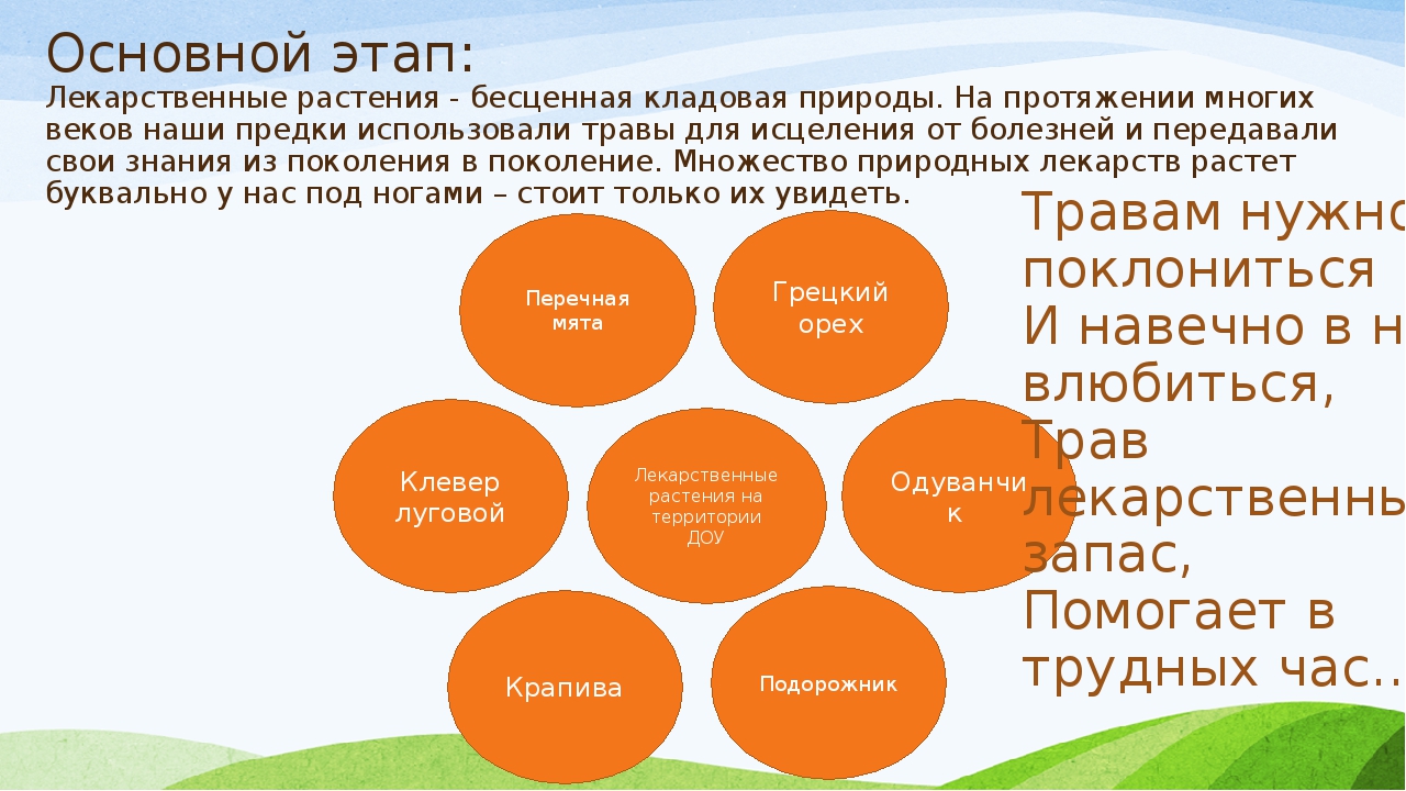 Презентация проекта "Зеленая аптека"