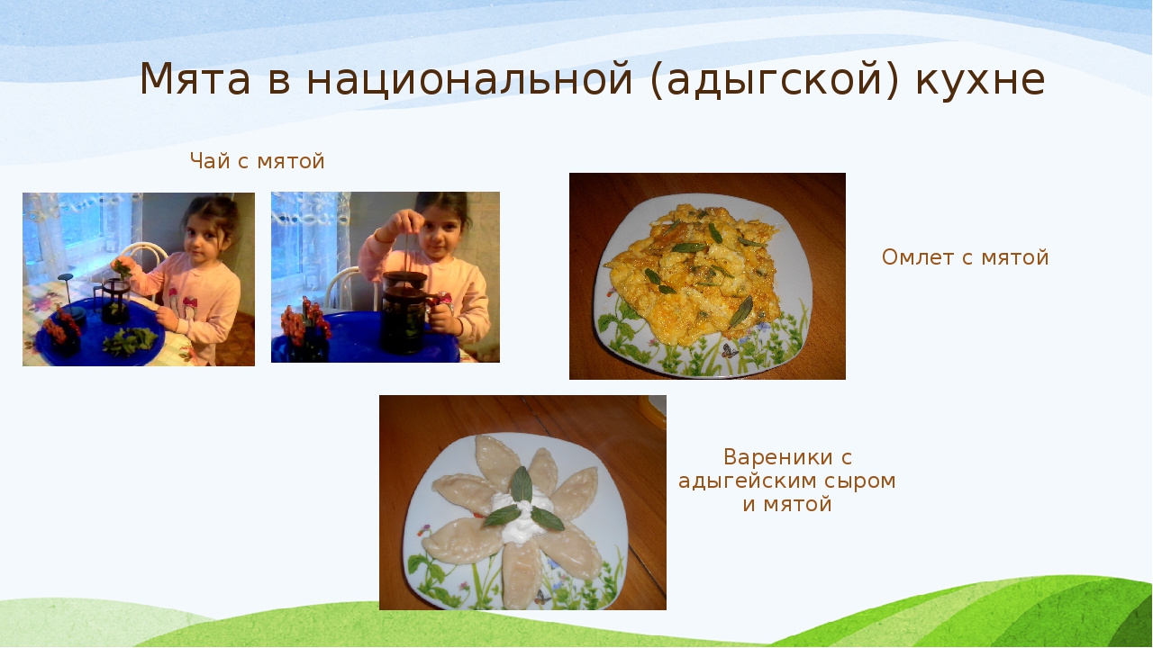 Презентация проекта "Зеленая аптека"