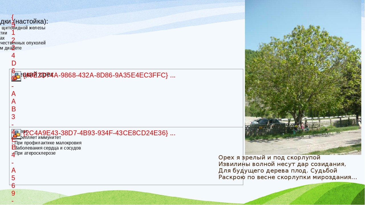 Презентация проекта "Зеленая аптека"