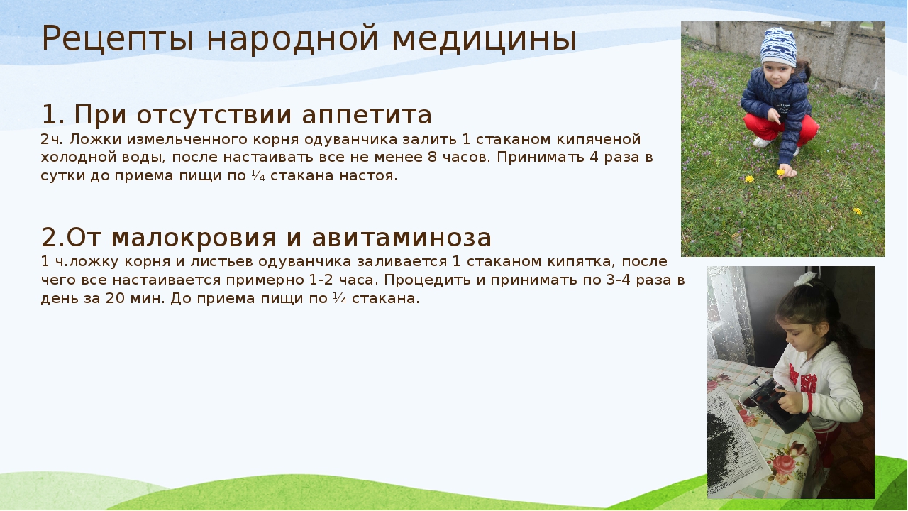Презентация проекта "Зеленая аптека"
