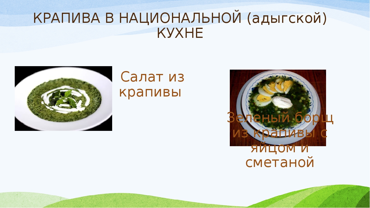 Презентация проекта "Зеленая аптека"