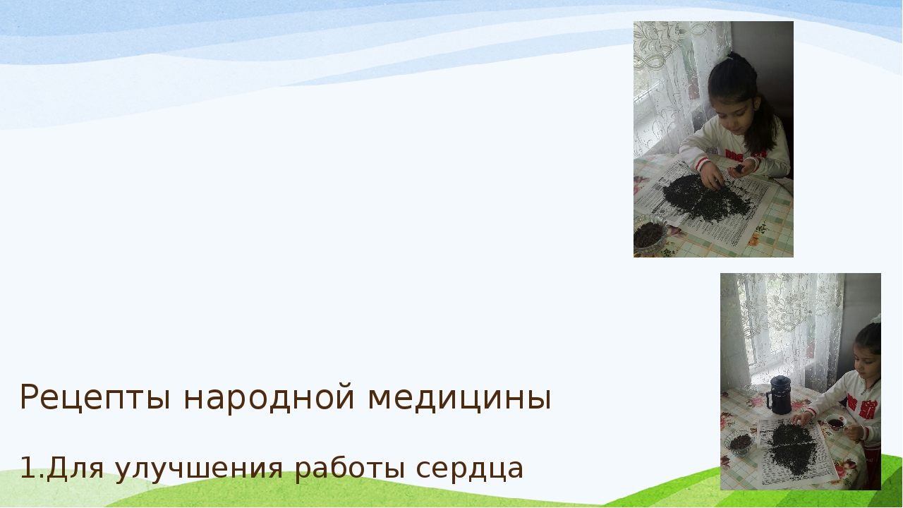 Презентация проекта "Зеленая аптека"