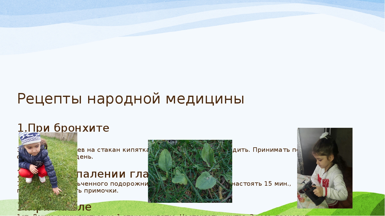 Презентация проекта "Зеленая аптека"