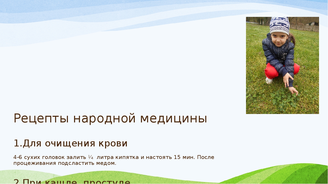Презентация проекта "Зеленая аптека"