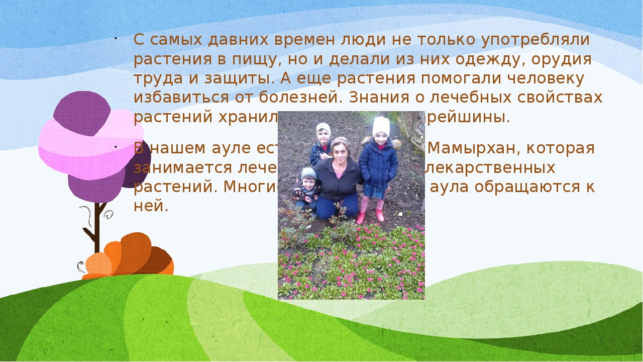 Презентация проекта "Зеленая аптека"