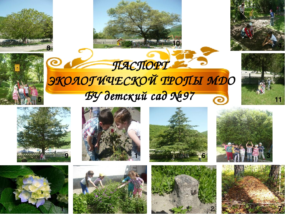 Проект " Паспорт экологической тропы"