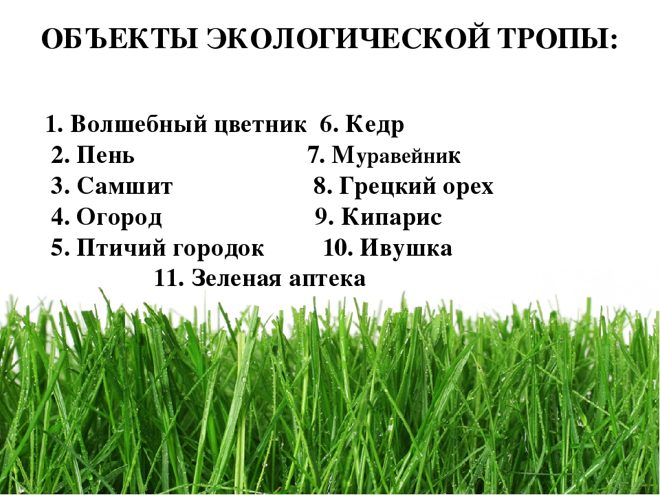 Проект " Паспорт экологической тропы"