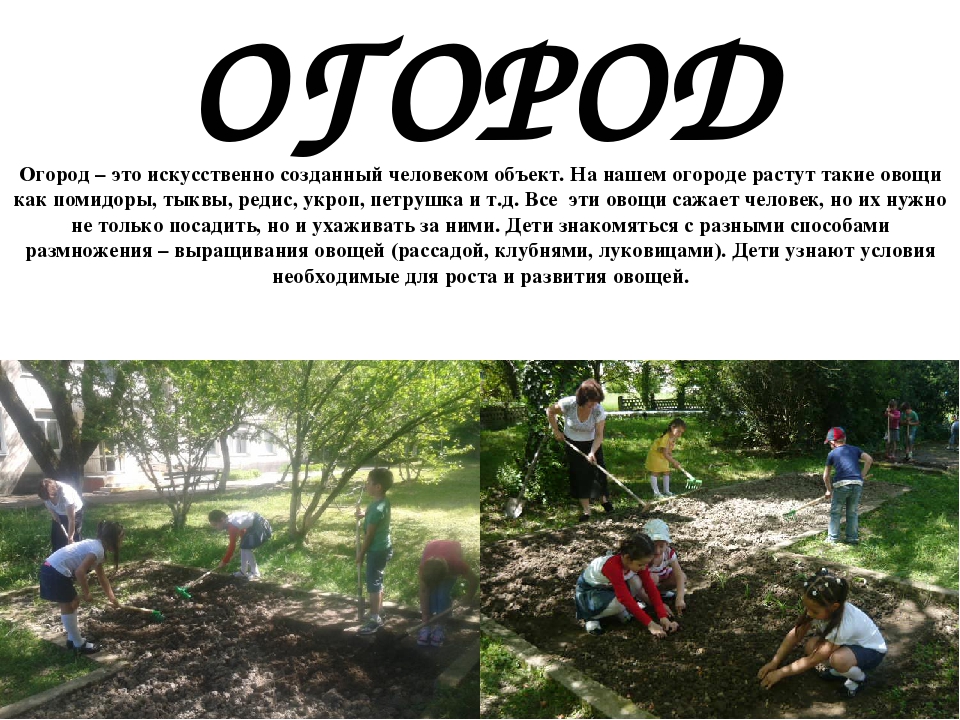 Проект " Паспорт экологической тропы"