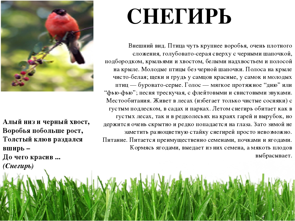 Проект " Паспорт экологической тропы"