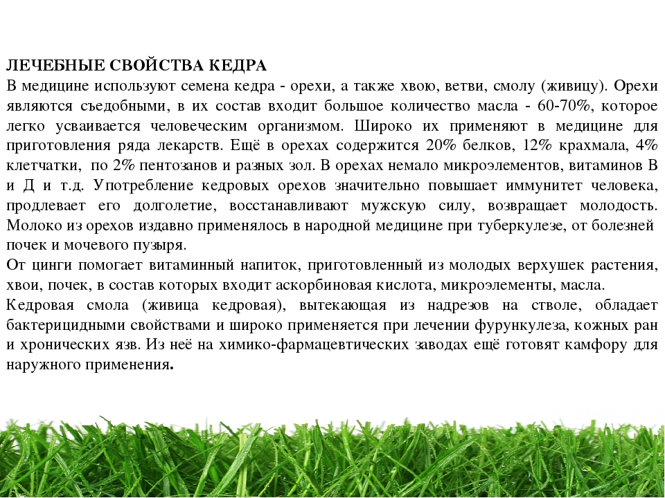 Проект " Паспорт экологической тропы"