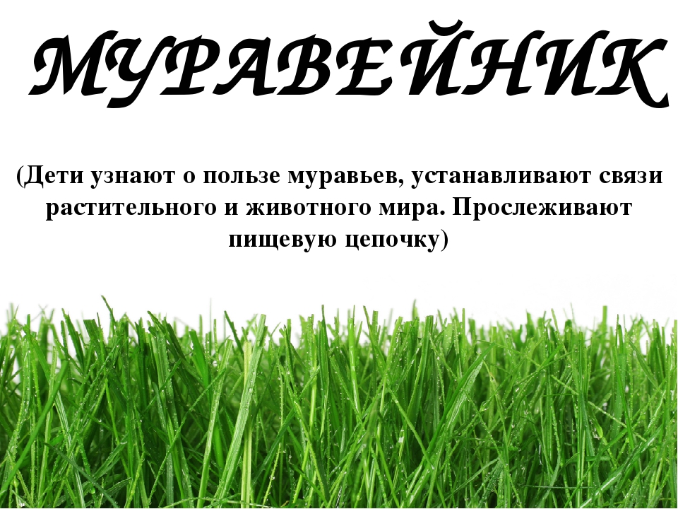 Проект " Паспорт экологической тропы"
