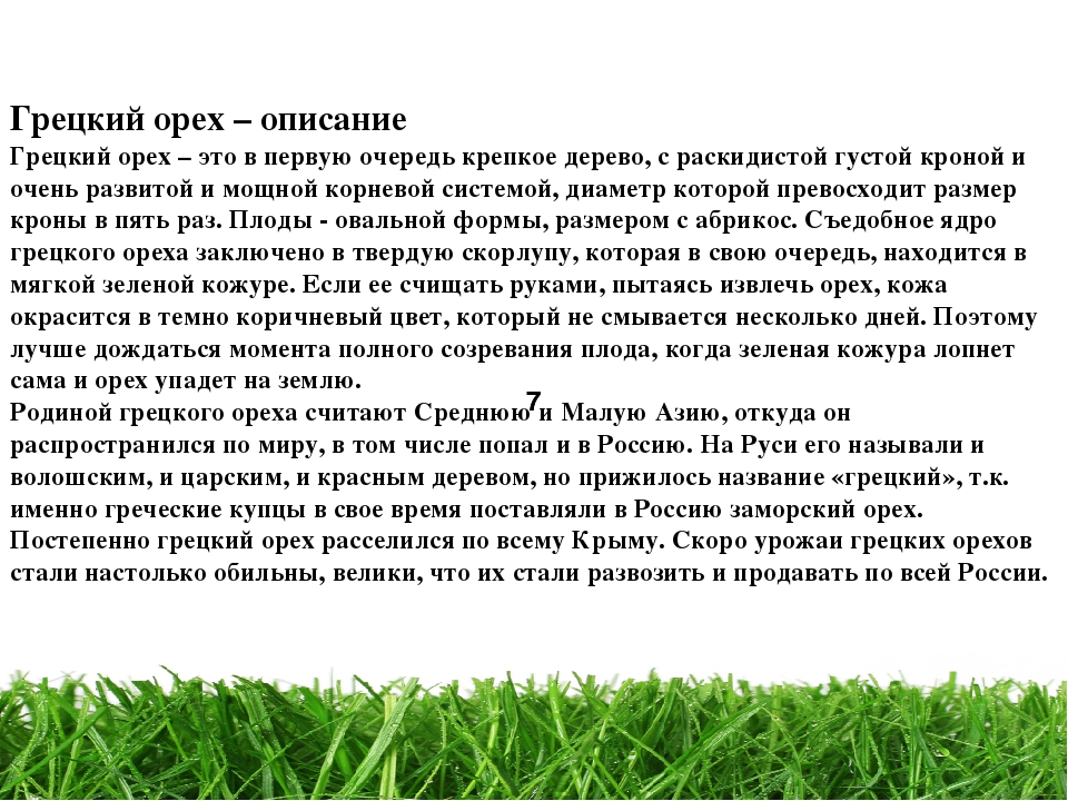 Проект " Паспорт экологической тропы"