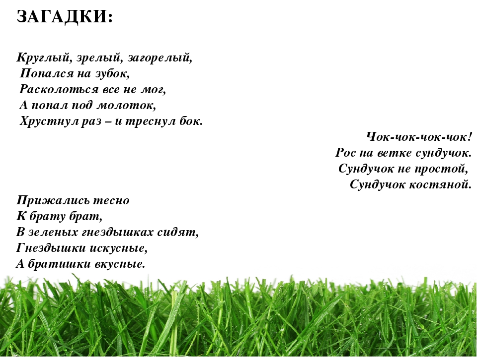 Проект " Паспорт экологической тропы"