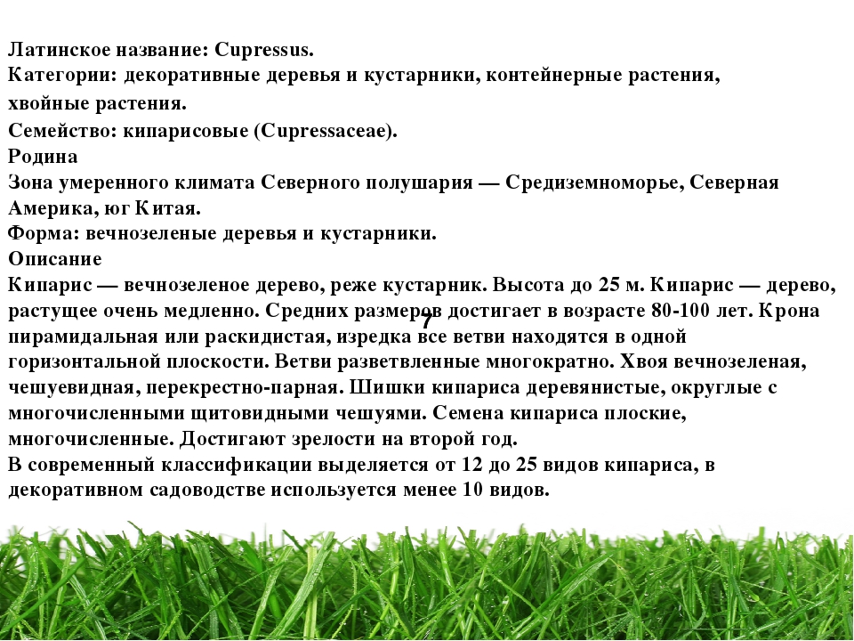 Проект " Паспорт экологической тропы"