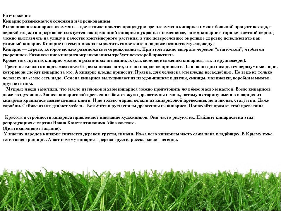 Проект " Паспорт экологической тропы"