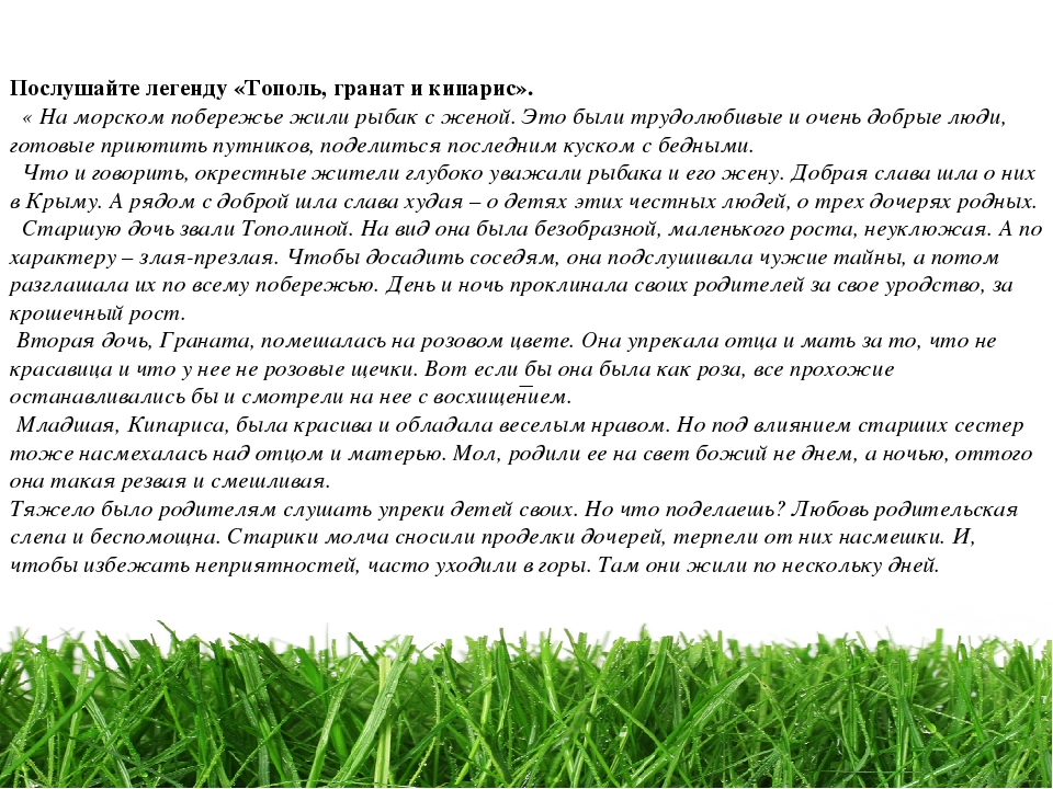 Проект " Паспорт экологической тропы"