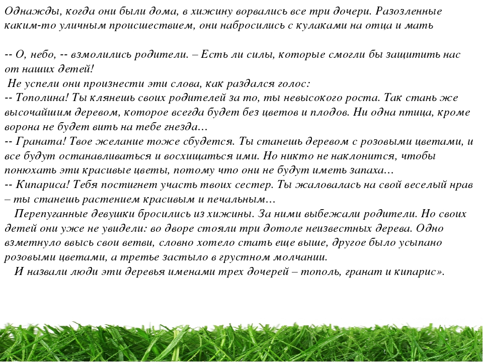 Проект " Паспорт экологической тропы"