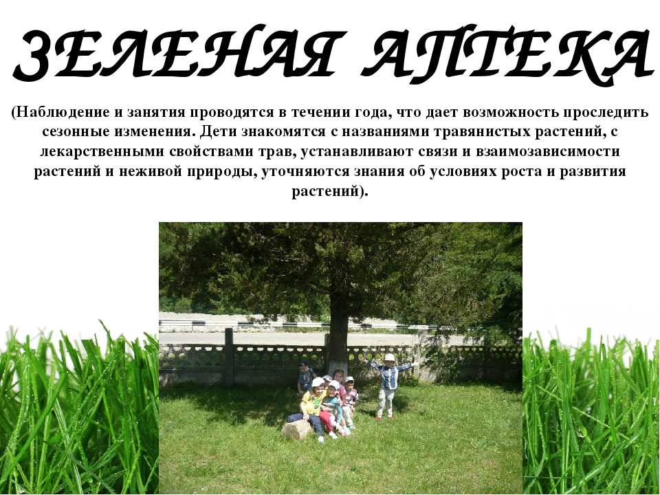 Проект " Паспорт экологической тропы"