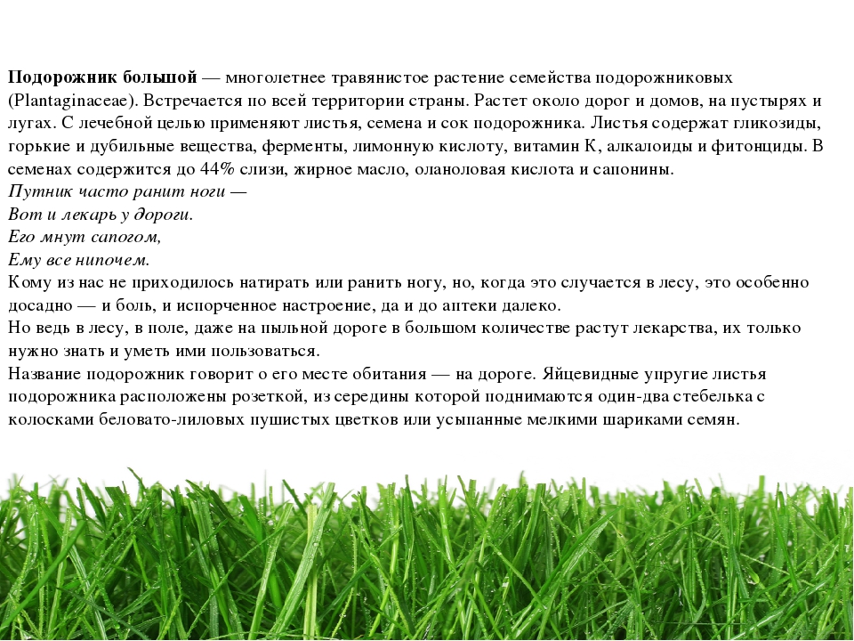 Проект " Паспорт экологической тропы"