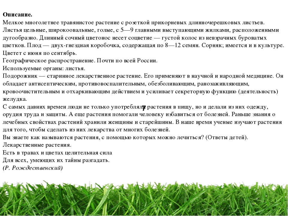 Проект " Паспорт экологической тропы"