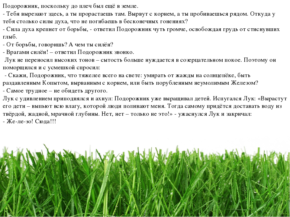 Проект " Паспорт экологической тропы"