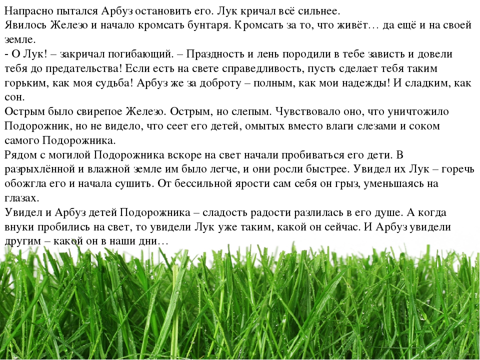 Проект " Паспорт экологической тропы"