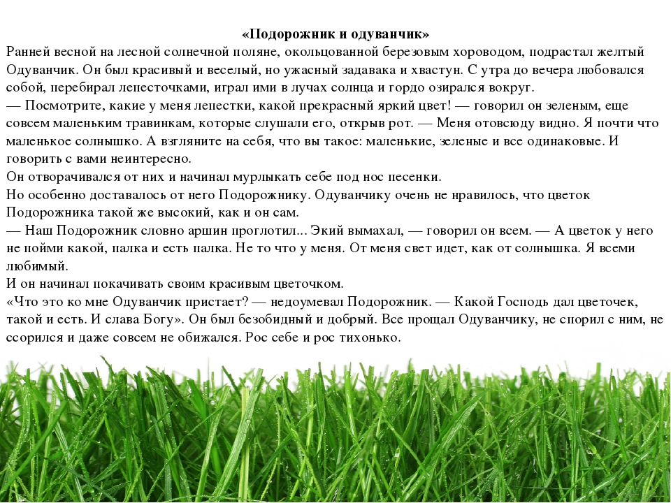 Проект " Паспорт экологической тропы"