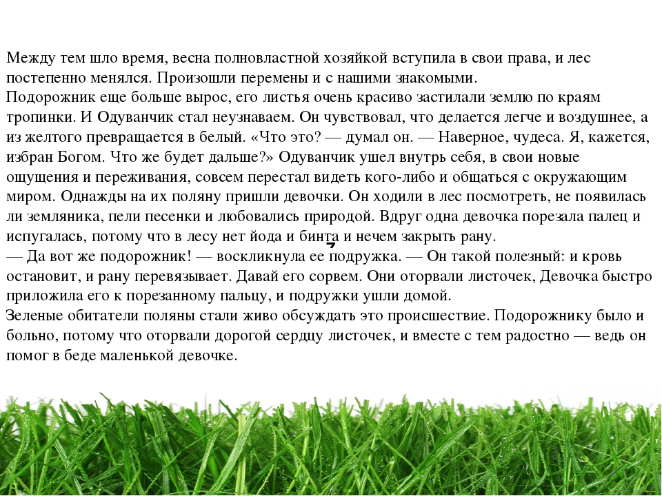 Проект " Паспорт экологической тропы"
