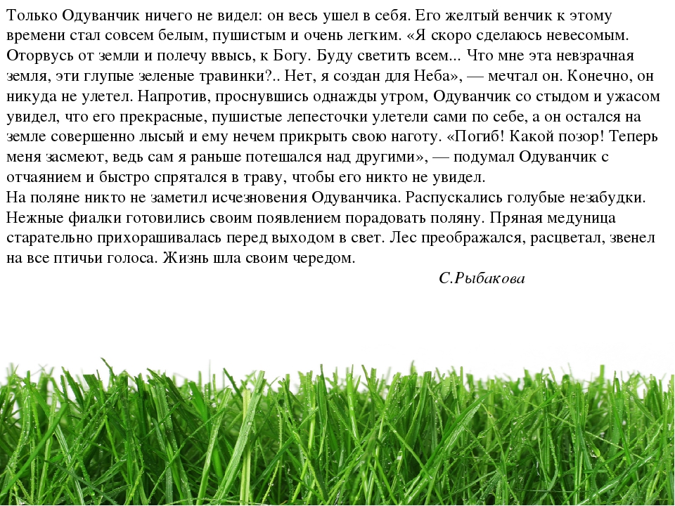 Проект " Паспорт экологической тропы"
