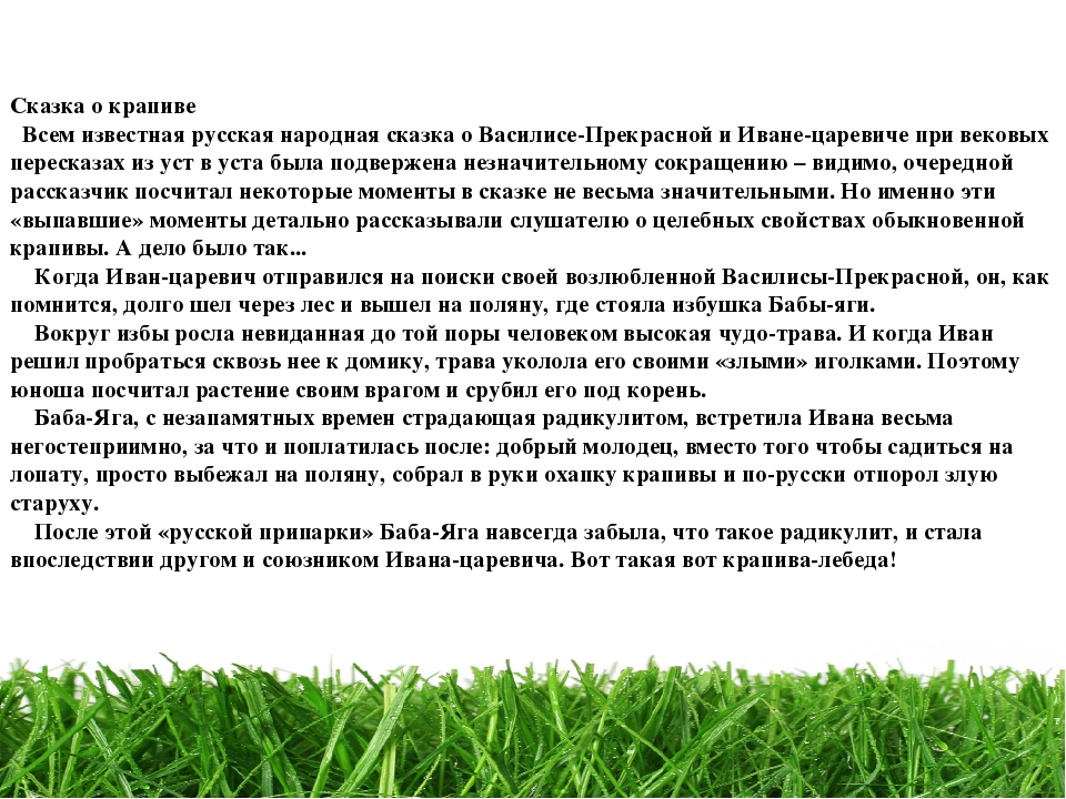 Проект " Паспорт экологической тропы"