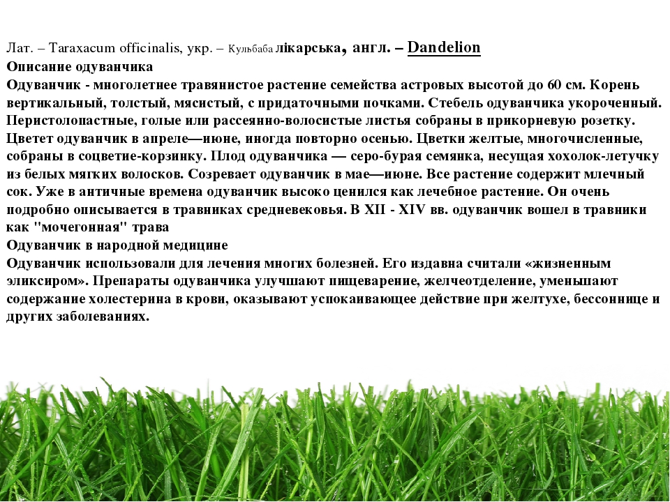 Проект " Паспорт экологической тропы"