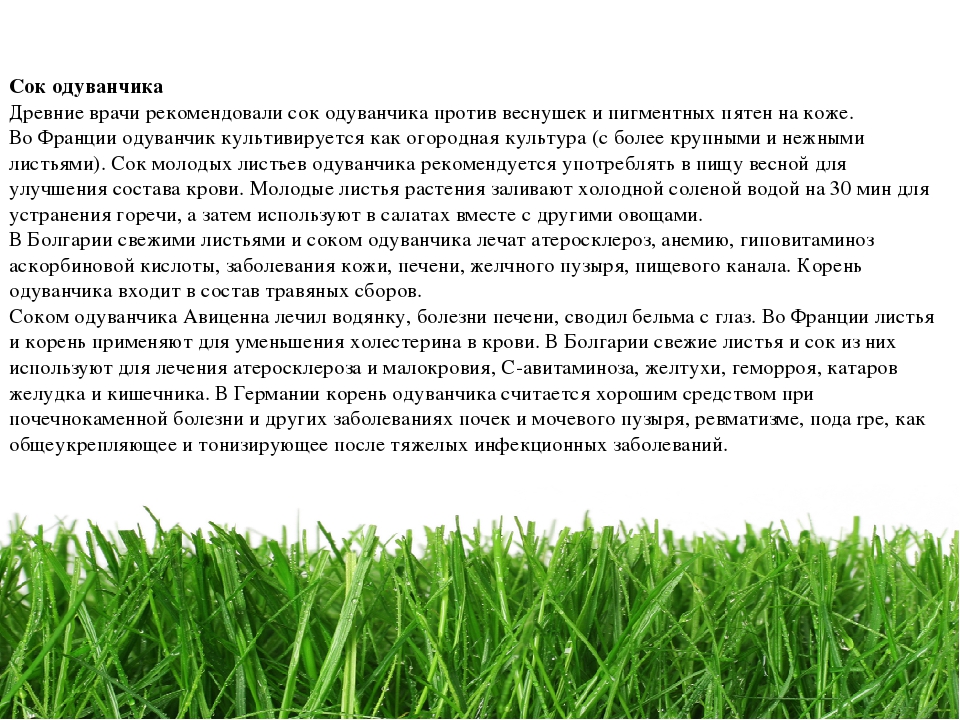 Проект " Паспорт экологической тропы"