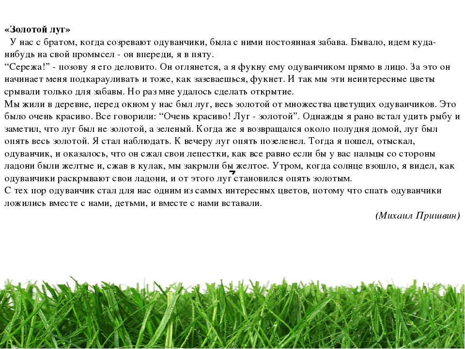 Проект " Паспорт экологической тропы"