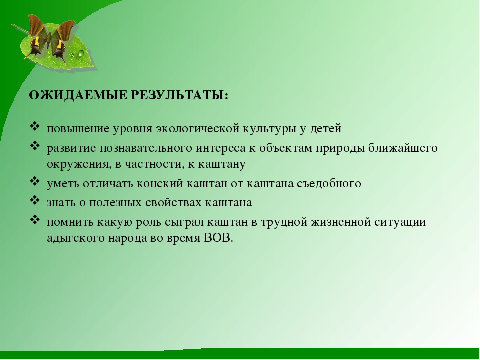 Проект "Гордый красавец каштан"