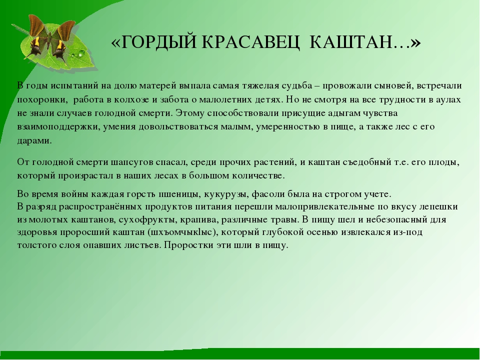 Проект "Гордый красавец каштан"